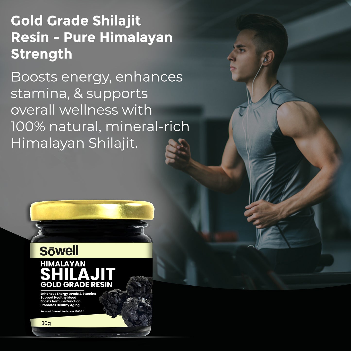 Himalayan Shilajit Gold Grade Resin 30g