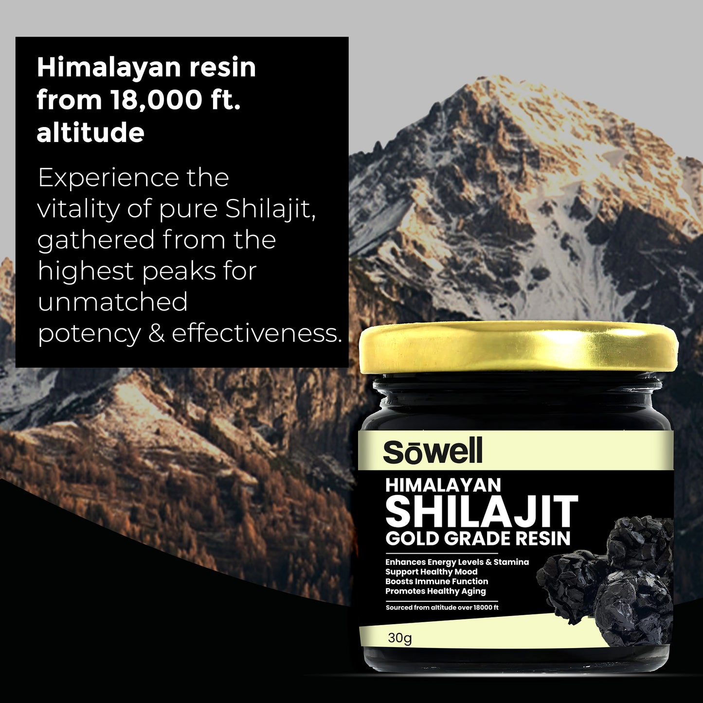 Himalayan Shilajit Gold Grade Resin 30g