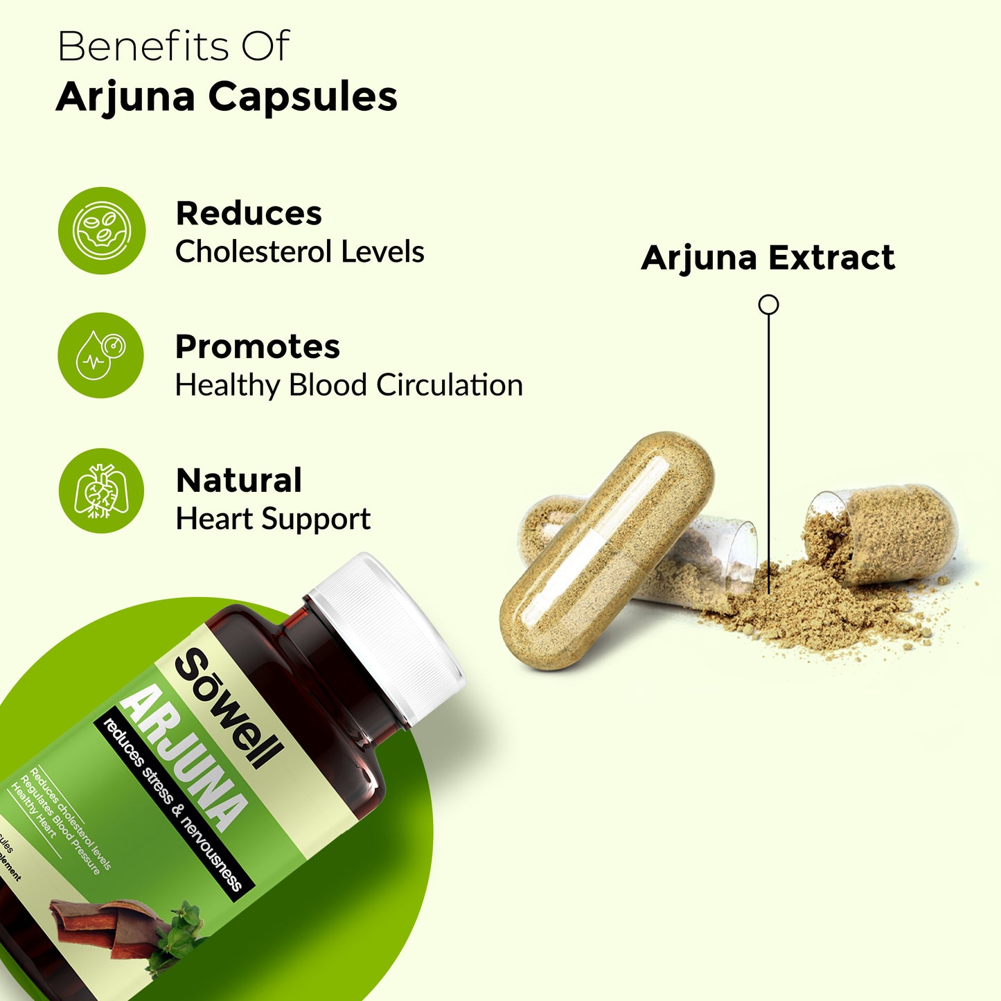 Arjuna Supplement