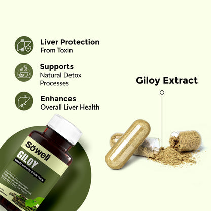 Giloy Supplement