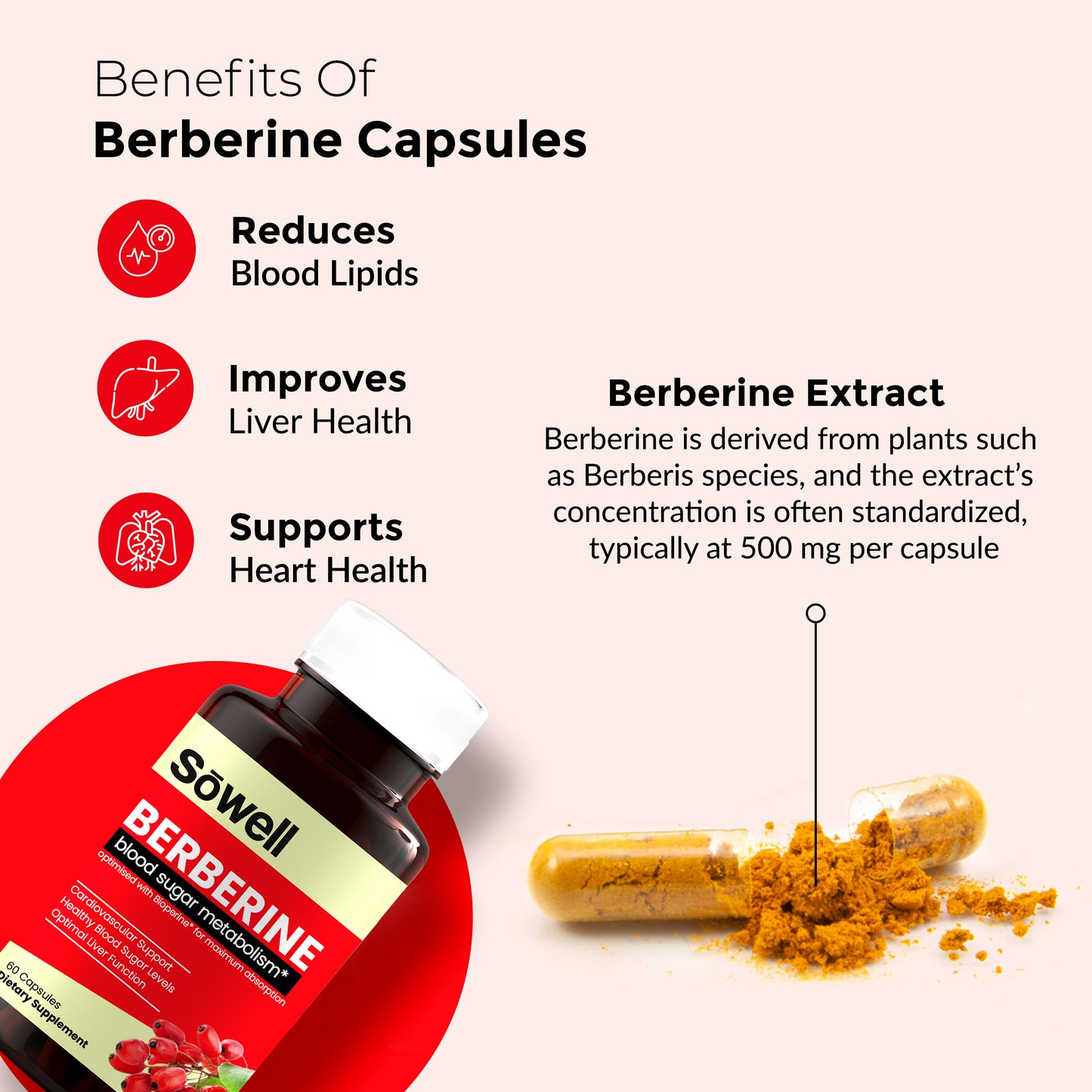 Berberine Supplement