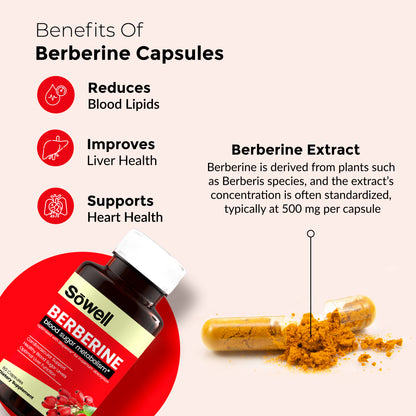 Berberine Supplement