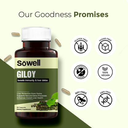 Giloy Supplement